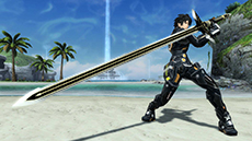 ������#009�Υ���ͥ���/�֥ե��󥿥�������������饤��2�ס�PS Vita�ǤΥ����ӥ�1��ǯ��ǰ�������٥�ȡ֥���������Ʈ��2014�פ�������������