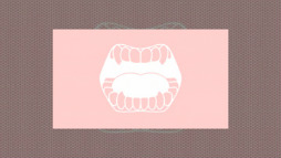 ꡼ No.018 | ֲʪ ݡ֥ס823ȯͽꡣϡȸƤ