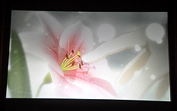 ꡼ No.020Υͥ / ΰΤव󡤥˥ΰ餵о줷֥Υȥꥨ ϤϣѻΡ״ȯɽݡȡ٤Ƥƹۤȥꥨ򸫤Ƥۤ