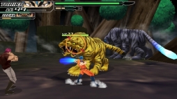 ꡼ No.005Υͥ / ٤ϿŷϡȥåĥΦɤǶʢΤ ֥ȥꥳ ᥵ХХ롪2פȯ䡣⡼ɤѤǤå