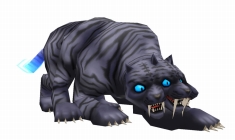 ꡼ No.013Υͥ / ٤ϿŷϡȥåĥΦɤǶʢΤ ֥ȥꥳ ᥵ХХ롪2פȯ䡣⡼ɤѤǤå