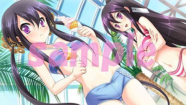 画像ギャラリー No.008のサムネイル画像 / 「桜花センゴク Portable」,サンプルボイス&カスタムテーマの第2弾が公開