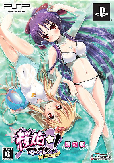 ꡼ No.002Υͥ / ֺ֥󥴥 Portableפθǥѥåˡ־פե㡼PS3ѥơޤۿ⥹