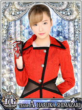 ���������꡼ No.002�Υ���ͥ������ / ��AKB48���ơ����ե��������ס����̷�������AKB48���פǼ»ܷ���