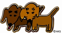 ���������꡼ No.007�Υ���ͥ������ / ��AKB48���ơ����ե��������ס������ò֤���ץ��ǥ塼���Υ��٥�Ȥ򳫺�