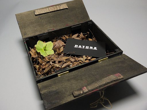 画像ギャラリー No.002のサムネイル画像 / 「DATURA」とは何なのか。SCEから送られてきた怪しげな箱の中に公式サイトのURLが入っていた