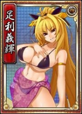 ꡼ No.006 | ɱWebװ।˰ãȴˤʤɤΥ쥢𾭤ָо