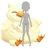 ꡼ No.004 | ֥륷פȡ֥祳ܤΥ祳äפǴָꥳܤ