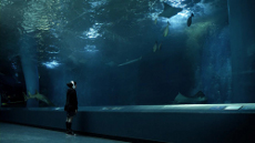 画像ギャラリー No.006のサムネイル画像 / 「ミュージック×ストラテジー」の正体とは? アクワイア最新作「orgarhythm(オルガリズム)」,コンセプトムービーが公開に