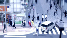 ꡼ No.006 | orgarhythmפθȤܺѤɽ֥ƥȥեȥࡼӡʥߥ˥奢ࡼӡˡפθ