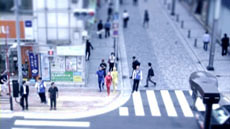 ꡼ No.007 | orgarhythmפθȤܺѤɽ֥ƥȥեȥࡼӡʥߥ˥奢ࡼӡˡפθ