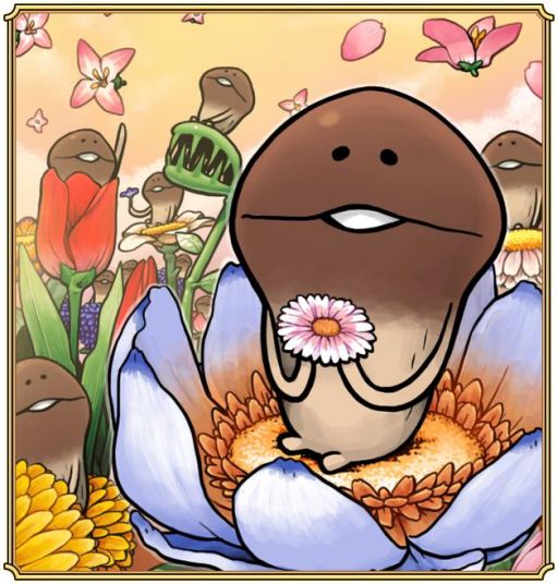 ꡼ No.013 | ֤õ ʤᤳݥå Seasonsפ4Υơޤϡֲ֡