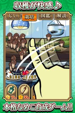 ���������꡼ No.008�Υ���ͥ������ / �֤������õ��ʤᤳ���ݥ��å� Seasons�ץ��åץǡ��Ȥ�»ܡ��ơ��ޤϡֱ���