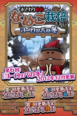 ꡼ No.003 | ֤ʤᤳݥå Seasonsפåץǡȡơޤϡ֥衼åѤߡ