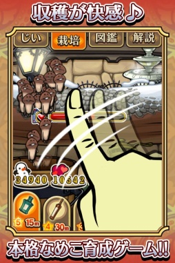 ꡼ No.004 | ֤ʤᤳݥå Seasonsפåץǡȡơޤϡ֥衼åѤߡ