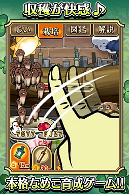 ꡼ No.003 | ֤ʤᤳݥå SeasonsפơޡƤνաפ˥åץǡ