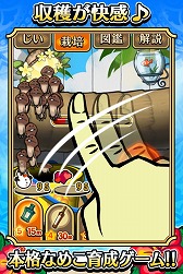 ���������꡼ No.004�Υ���ͥ������ / �֤������õ�� �ʤᤳ���ݥ��å� Seasons �ס���������������βơפ��ۿ�