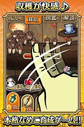 ꡼ No.006 | ֤õ ʤᤳݥå Seasons׺ǽ֥νפۿ