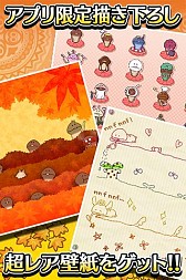 ꡼ No.008 | ֤õ ʤᤳݥå Seasons׺ǽ֥νפۿ