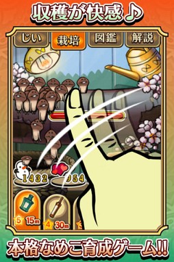 �������õ�� �ʤᤳ���ݥ��å� Seasons