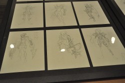 ꡼ No.041 | ȶ˿֤.hackפ11ǯΤ᤬֡.hack٥꡼ȯ䵭ǰȡݡ