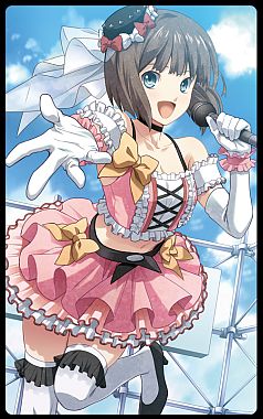 ꡼ No.003 | DUNAMIS15ס֥ץѡƥ 2Uס󿧻ʤɤƱ84ǳ