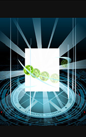 ꡼ No.036 | ޡ٥Υҡã뤹֥ޡ٥ ֡ҡסӥˤγפå