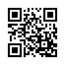 ꡼ No.007Υͥ / ե㡼եֽޥפGREEˤۿ