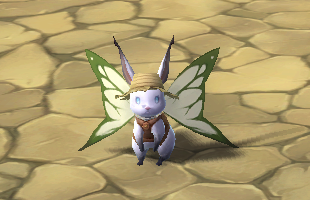 ꡼ No.006Υͥ / ֥󥸥󥹥ȥ饤פ˸ۥ塼֡ΥڥϤо졣Х󥿥󥤥٥ȤⳫ