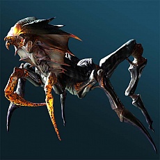 ���������꡼ No.020�Υ���ͥ������ / �֥����ȥץ�ͥå� 3�ס��桼�ƥ���ƥ����ꥰ�����緡�ﵡ���ѷ�����֥ץ�åȥե�����⡼�ɡפ�¸�ߤ����餫�ˡ����ꥸ�ʥ���̸�����ŵ�ξ�������