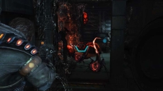 ꡼ No.016 | ֥ ץͥå 3ס緿ɤ⤵˵ʡȥƥ꡼Gɤʬव륨åɡ֥ϥӡפγפ