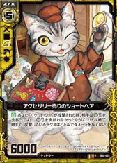 ���������꡼ No.002�Υ���ͥ������ / TCG��Z/X�ʥ������ˡ��߷׽вٿ���100���ѥå�������