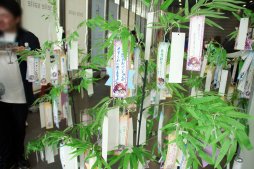 画像ギャラリー No.010のサムネイル画像 / 新作アプリ「Z/X Code OverBoost」や,天使になったサタンなど,衝撃的な情報が多数明かされた「ゼクストリーム 2019.SUMMER in 秋葉原」をレポート