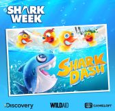 画像ギャラリー No.002のサムネイル画像 / 「SharkDash」を通じてサメの保護活動支援が期間限定で可能に