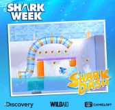 画像ギャラリー No.003のサムネイル画像 / 「SharkDash」を通じてサメの保護活動支援が期間限定で可能に