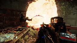 ꡼ No.007 | ֥饤 3פ50󥪥դ3400ߤͲ档Weekly Amazon Sale2013ǯ11151121