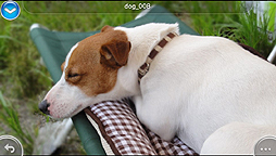 ꡼ No.012 | PS Vita̵ץnaspocketסʥʥݥåȡˤۿȡnasneΥǡλİ/¸ͥåȥͳǲǽ