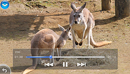 ꡼ No.019 | PS Vita̵ץnaspocketסʥʥݥåȡˤۿȡnasneΥǡλİ/¸ͥåȥͳǲǽ