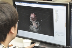 ꡼ No.035 | Tango Gameworks꤬뿷ˤĤƻ忿ʻᡤ¼ͻᡤҳľ˥󥿥ӥ塼PsychoBreakפϡץ쥤䡼ݤꤲФɥХХۥ顼ˤʤ롩