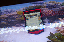 ꡼ No.038 | HTC J butterflyפisai vividפʤȼǥμϤ䤤ˡ KDDI2015ǯƥǥ륹ޡȥե򿨤äƤ