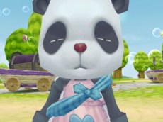 ꡼ No.003Υͥ / CocoloaʥˡפΥץ¥ƥȤ1700˳ϡüԤоݤȤ侩PCWebMoney륭ڡⳫ