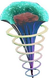 ���������꡼ No.021�Υ���ͥ������ / ��KILLER IS DEAD�ס����ɤζ������Բķ�ʽ跺���������֥ե����ʥ른��å����ȡפ����餫�ˡ����Ԥǥ䥯�����臘���ԥ����ɡְǤ˾ä����ספ����