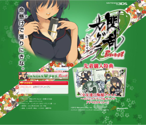 ꡼ No.005Υͥ / 3DS𥫥 Burst -ϡξã-פ830ȯ䡣֥˥˥ĶġפǤϡޡ٥饹AQL֡ߥʡ