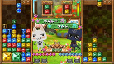 ���������꡼ No.029�Υ���ͥ������ / �֥����롼�ǥѥ��롼�פ�Ϣ�ܴ��ȥѥ��롼��û������ֺ¡ɤ���2�󤬸������ޥ������롼���夻������ɬ����������ܾ���ʤɤ����餫��