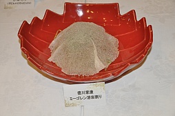 画像ギャラリー No.014のサムネイル画像 / カプコンバーのグランドメニューが7月19日にリニューアル。「アイルーでパズルー」のゲーム大会も行われた試食会をレポート