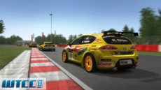 ꡼ No.034 | ֥졼󥸥 ܸޥ˥奢ձѸǡפ525ȯ䡣25Υƥ꡼鹥ʥ졼ǳڤ⤦