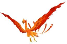 ꡼ No.003 | ֥Хǥ󥹥פϿԤ70ͤˡǰ٥Ȥ»