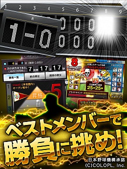 ꡼ No.005 | ޡȥեץ֥ץPRIDEפ300ɤ