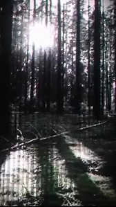 画像ギャラリー No.003のサムネイル画像 / 次回作は「Call of Duty: Black Ops 3」か? シリーズ最新作の発表を匂わせるムービーが発見される