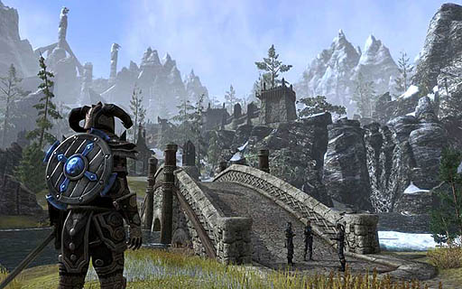 ���������꡼ No.002�Υ���ͥ������ / ��The Elder Scrolls Online�׽�θ����ࡼ�ӡ����������ޤ��1�ĤΥ����С��ǻ��ü��������ץ쥤���Ƥ���褦�ʵ�ʬ�ˤʤ�뿷���Ѥ����餫��